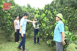 Lam Sơn nỗ lực về đích xã NTM nâng cao