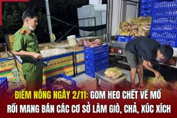 Điểm nóng 2/11: Gom heo chết về mổ rồi mang bán các cơ sở làm giò, chả, xúc xích