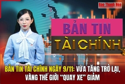 Bản tin Tài chính 9/11: Vừa tăng trở lại, vàng thế giới “quay xe” giảm