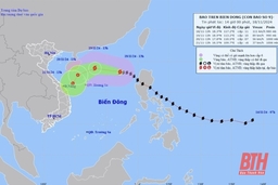 Công điện triển khai phương án ứng phó bão MAN-YI