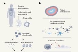 Bước tiến đột phá trong dự án xây dựng Bản đồ tế bào con người