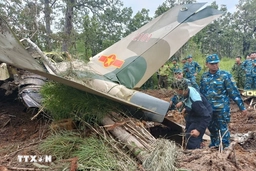 Vụ rơi máy bay Yak-130: Hai phi công được tặng thưởng Huân chương Bảo vệ Tổ quốc