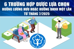 [Infographics] - 6 trường hợp được phép lựa chọn hưởng lương hưu hoặc hưởng BHXH một lần từ tháng 7/2025