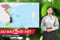 Dự báo thời tiết 12/12: Ảnh hưởng không khí lạnh, trời rét kèm mưa nhỏ