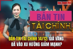 Bản tin Tài chính 14/12: Giá vàng đã vào xu hướng giảm mạnh?