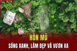 Hón Mũ: Sống xanh, làm đẹp và vươn xa