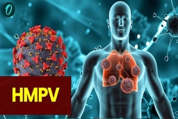 Virus gây bệnh hô hấp ở Trung Quốc từng xuất hiện tại TP HCM