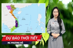 Dự báo thời tiết 11/1: Ảnh hưởng của không khí lạnh, Bắc Bộ và Thanh Hóa rét đậm