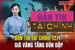 Bản tin Tài chính 12/1: Giá vàng tăng dồn dập