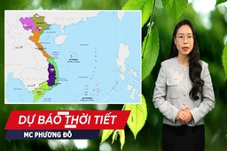 Dự báo thời tiết 17/1: Bắc bộ, Thanh Hóa ấm hơn; Hà Tĩnh đến Bình Định có mưa