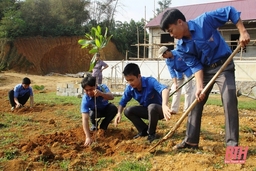 Trồng trên 3 triệu cây xanh dịp “Tết trồng cây đời đời nhớ ơn Bác Hồ” Xuân Ất Tỵ 2025