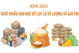 Xuất khẩu gạo đạt kỷ lục cả về lượng và giá trị trong năm 2024