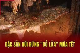 Đặc sản núi rừng “đỏ lửa” mùa Tết