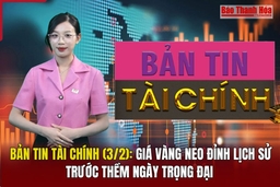 Bản tin Tài chính (3/2): Giá vàng neo đỉnh lịch sử trước thềm ngày trọng đại