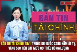 Bản tin Tài chính 28/1: Trước khi bước sang năm Ất Tỵ, vàng  SJC tiến sát mức 89 triệu đồng/lượng