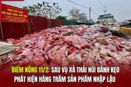 Điểm nóng 11/2: Sau vụ xả thải núi bánh kẹo, phát hiện hàng trăm sản phẩm nhập lậu