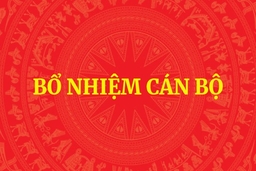 Thủ tướng bổ nhiệm ông Phạm Mạnh Cường giữ chức Phó Chủ nhiệm Văn phòng Chính phủ