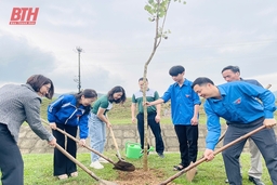 Thị đoàn Nghi Sơn thực hiện “Hàng cây Thanh niên - Vì một Việt Nam xanh”