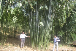 Huy động nguồn lực xây dựng nông thôn mới ở vùng cao Quan Sơn