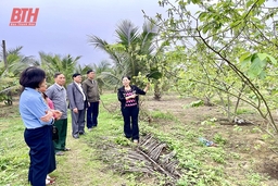 Giáo dân thị xã Nghi Sơn sống “tốt đời, đẹp đạo”