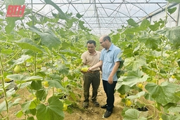 Xây dựng mô hình kinh tế HTX hiệu quả