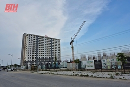 Giấc mơ an cư đang hiện thực hóa