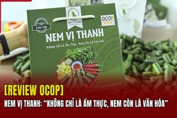 [REVIEW OCOP] Nem Vị Thanh: “Không chỉ là ẩm thực, nem còn là văn hóa”