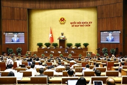 Quốc hội thảo luận dự án Luật sửa đổi bổ sung 1 số điều Bộ luật Tố tụng hình sự