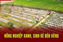 Nông nghiệp xanh, sinh kế bền vững