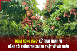 Điểm nóng 15/6: “Giải oan” cho vải thiều