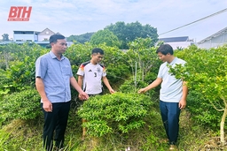 Phát huy vai trò Hội Nông dân trong xây dựng nông thôn mới