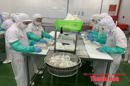 Phát triển bền vững nghề chế biến thủy, hải sản