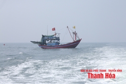 Chủ động ứng phó với áp thấp nhiệt đới và gió mạnh trên biển