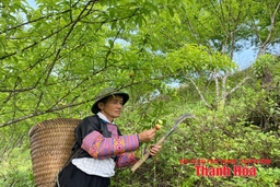 “Điểm tựa” cho người dân biên giới