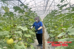 Duy trì chất lượng VietGAP sau chứng nhận