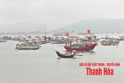 “Văn hóa dân gian biển, đảo xứ Thanh như chất men say ngấm vào đời tôi”...