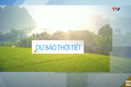 Dự báo thời tiết 19h ngày 6/7/2025