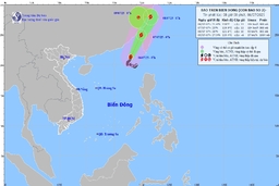 Bão số 2 di chuyển chậm, gây gió mạnh, sóng lớn trên biển