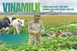 [E-Magazine] – Vinamilk: Cùng nông dân “Hồi sinh” những vùng đất nghèo cằn cỗi