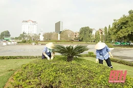 Lập quy hoạch chỉnh trang phố Phan Chu Trinh và quảng trường Lam Sơn