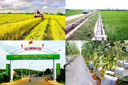 Ưu tiên hỗ trợ vốn cho các xã, huyện chưa đạt chuẩn nông thôn mới