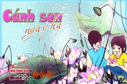[Radio]- Tản văn:  Cánh sen ngày Hạ