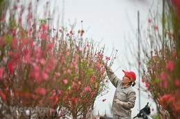 Bộ Lao động-Thương binh và Xã hội đề xuất phương án nghỉ Tết và nghỉ Quốc khánh năm 2023