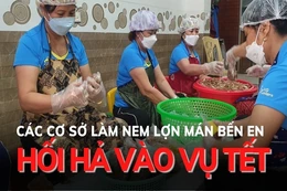 Các cơ sở làm nem lợn mán Bến En hối hả vào vụ Tết