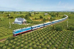 Khám phá Sài Gòn - Phan Thiết: Hành trình trải nghiệm du lịch độc đáo cùng Traveloka