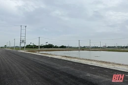 736  mặt bằng được phê duyệt danh mục dự án  đấu giá quyền sử dụng đất năm 2024