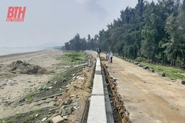 Đẩy nhanh tiến độ các công trình đê điều trước mùa mưa bão