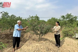 Hiệu quả công tác phòng, chống bạo lực gia đình ở Quảng Xương