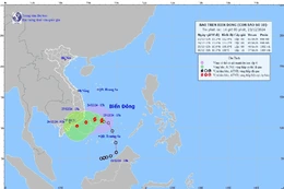 Áp thấp nhiệt đới đã mạnh lên thành bão số 10 năm 2024