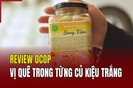 [REVIEW OCOP] Vị quê trong từng củ kiệu trắng